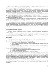 Kas tai yra elektroninė komercija? 7 puslapis