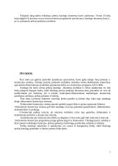 Kas tai yra elektroninė komercija? 8 puslapis