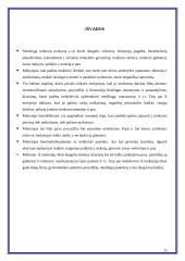 Mokinių mokymas 15 puslapis