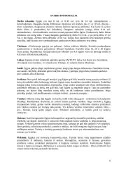 Egiptas bei jo istorija 6 puslapis