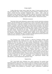 Egiptas bei jo istorija 9 puslapis