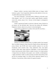 Ekologija: vanduo, oras ir atliekos 5 puslapis