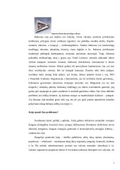 Ekologija: vanduo, oras ir atliekos 6 puslapis