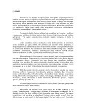Ekonomikos paradoksai 2 puslapis