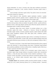 Lietuvos ekonomikos sistemos problemos ir tikslai 15 puslapis