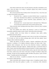 Lietuvos ekonomikos sistemos problemos ir tikslai 4 puslapis