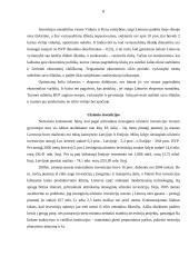 Lietuvos ekonomikos sistemos problemos ir tikslai 8 puslapis