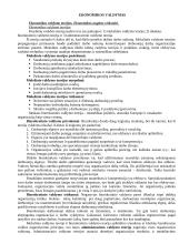 Ekonomikos valdymas 2 puslapis