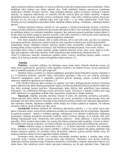 Ekonomikos valdymas 11 puslapis