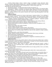 Ekonomikos valdymas 13 puslapis