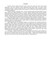 Ekonomikos valdymas 16 puslapis