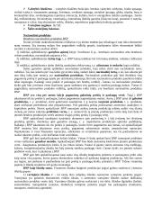 Ekonomikos valdymas 8 puslapis