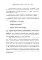 Ekonominės aplinkos sąvoka bei svarba 3 puslapis