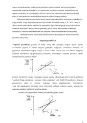 Ekonominiai paradoksai 6 puslapis
