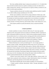 Ekonominiai paradoksai 7 puslapis