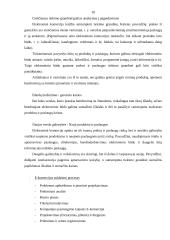 Elektroninės komercijos pagrindiniai aspektai 9 puslapis