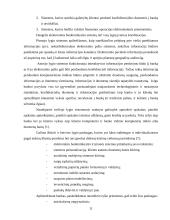 Elektroninės bankininkystės problemos ir perspektyvos 11 puslapis