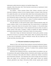 Elektroninės bankininkystės problemos ir perspektyvos 14 puslapis