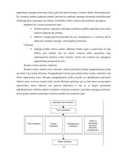 Elektroninės bankininkystės problemos ir perspektyvos 19 puslapis