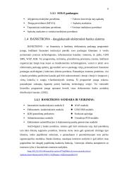 Elektroninės banko sistemos 6 puslapis
