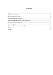 Elektroniniai kontraktai internete 2 puslapis