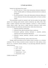 Elektroninių paslaugų administravimas mokesčių inspekcijoje 7 puslapis