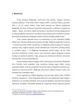 Etninė turkų mažuma Bulgarijoje 3 puslapis