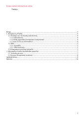 Europa ruošiasi informaciniam amžiui 2 puslapis