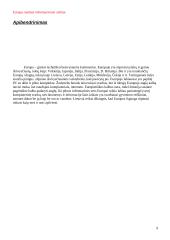 Europa ruošiasi informaciniam amžiui 9 puslapis