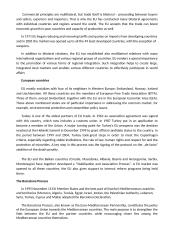 European Union (EU) relations with other regions and countries 4 puslapis