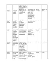 Europos Sąjunga (ES), jos istorija ir raida 13 puslapis