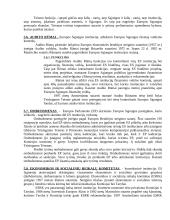 Europos Sąjunga (ES), jos istorija ir raida 10 puslapis