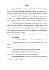 Europos Sąjungos (ES) finansinė parama Lietuvai 3 puslapis