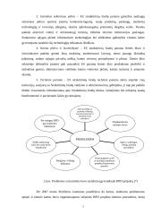 Europos Sąjungos (ES) finansinė parama Lietuvai 5 puslapis