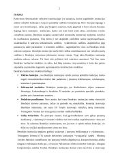 Europos Sąjungos (ES) institucijos bei jų funkcijos 2 puslapis