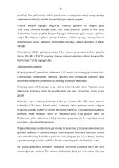 Europos Sąjungos (ES) institucijos bei jų funkcijos 11 puslapis