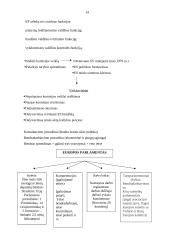 Europos Sąjungos (ES) institucijos bei jų funkcijos 14 puslapis