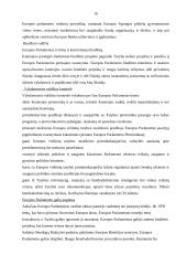 Europos Sąjungos (ES) institucijos bei jų funkcijos 16 puslapis
