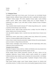 Europos Sąjungos (ES) institucijos bei jų funkcijos 19 puslapis
