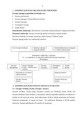 Europos Sąjungos (ES) institucijos bei jų funkcijos 4 puslapis
