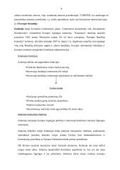 Europos Sąjungos (ES) institucijos bei jų funkcijos 8 puslapis