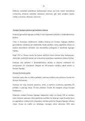 Europos Sąjungos (ES) institucijos bei jų funkcijos 10 puslapis
