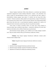 Europos Sąjungos (ES) Konstitucija: ratifikavimas ir jo problematika 2 puslapis