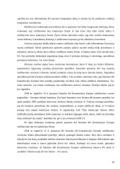 Europos Sąjungos (ES) Konstitucija: ratifikavimas ir jo problematika 18 puslapis