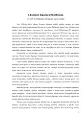 Europos Sąjungos (ES) Konstitucija: ratifikavimas ir jo problematika 3 puslapis