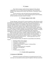 Europos Sąjungos (ES) Taryba 2 puslapis