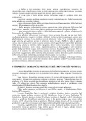 Europos socialinės chartijos pagrindinės teisės 11 puslapis