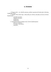 Europos žmogaus teisės 9 puslapis
