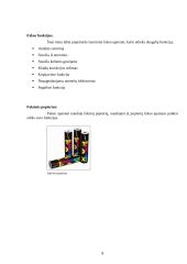 Fakso jungimas prie kompiuterio 5 puslapis