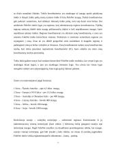 FidoNet tinklas 6 puslapis